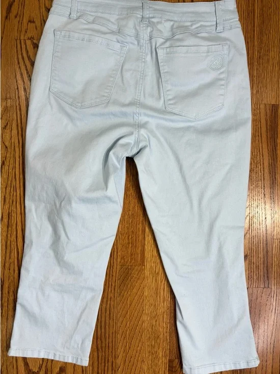 Laurie Felt Wave Capri Denim 5-Pocket Capri with Ankle Zipper - Motion Stretch - Picture 3 of 12